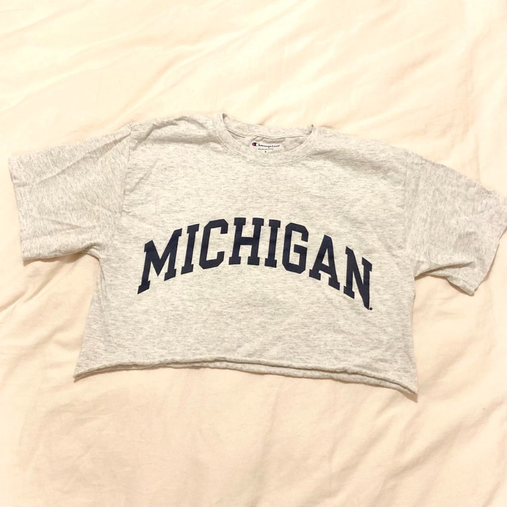 Univ of Michigan cozy cropped tee